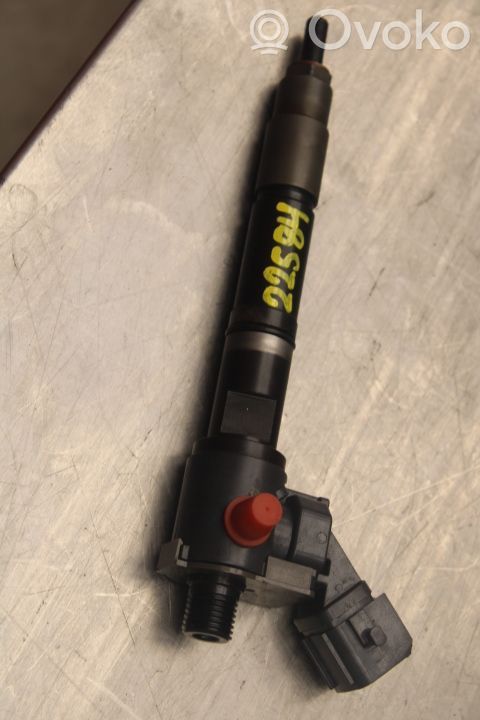 Injector combustibil   36010045,31405404