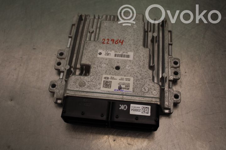 Injection control unit/module   391002U202
