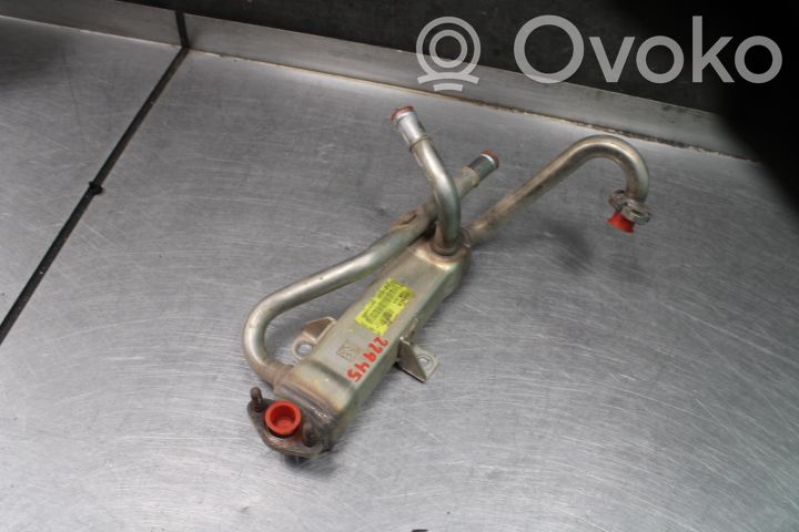 KIA Niro Răcitor supapă EGR 