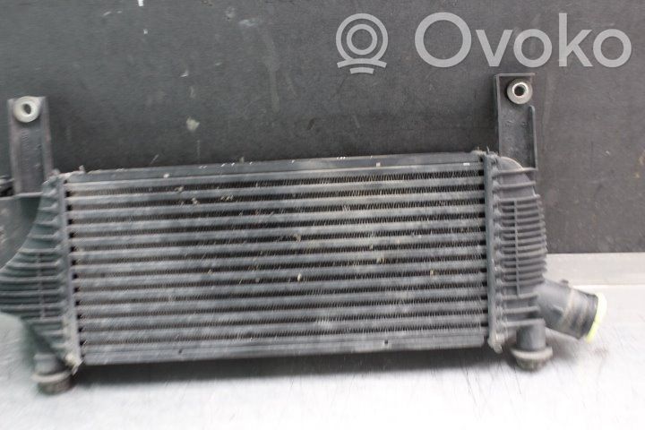 Radiatore intercooler   14461EB360