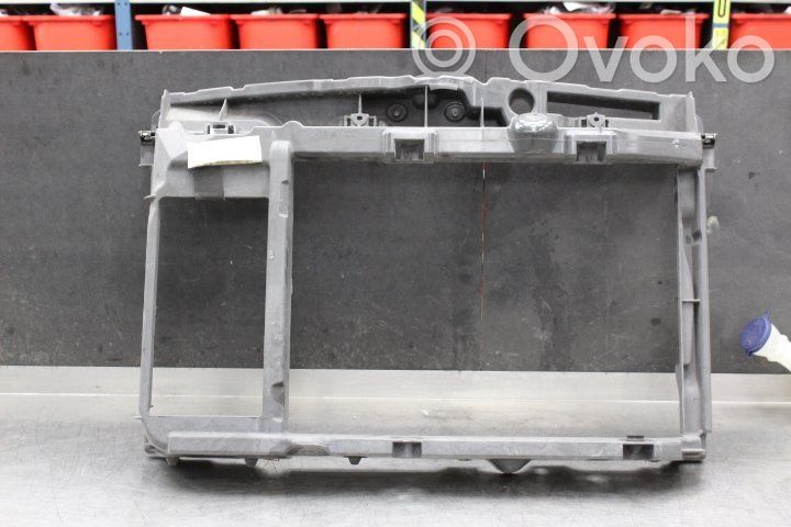 Peugeot 207 Radiatoru panelis 