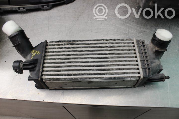 Interkūlerio radiatorius   0384K8,9657073480