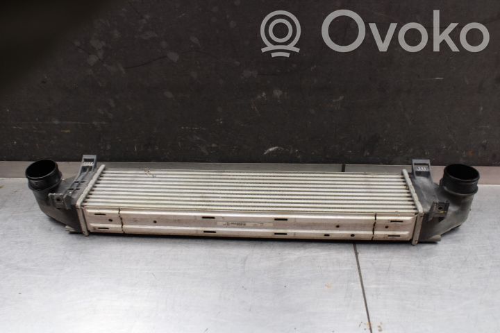 Land Rover Freelander 2 - LR2 Radiatore intercooler 