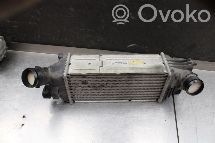 Peugeot 407 Radiatore intercooler 