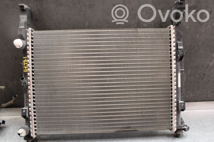 Renault Kangoo II Coolant radiator 