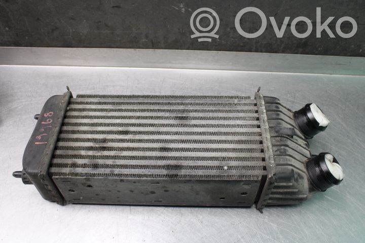 Peugeot 207 Intercooler radiator 