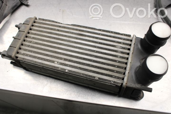 Intercooler radiator   P9684946380