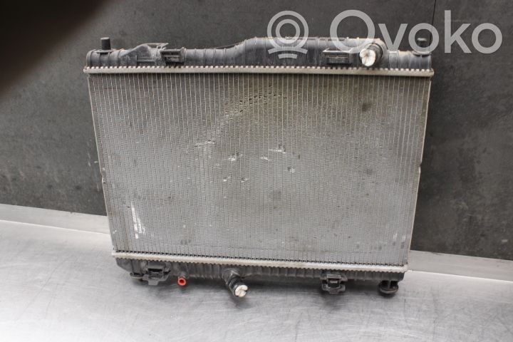 Ford Fiesta Radiator lichid răcire 