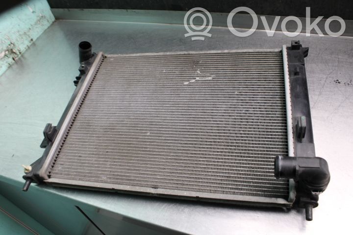 Radiatore di raffreddamento   253101P200