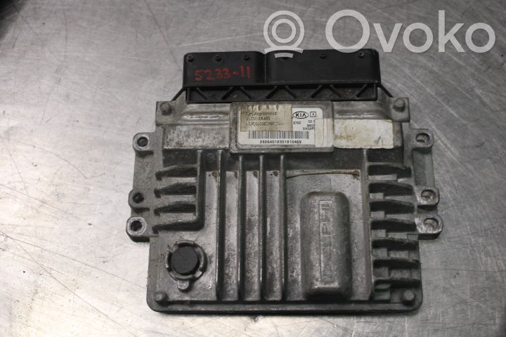 Unité de commande / module d'injection   391302A400