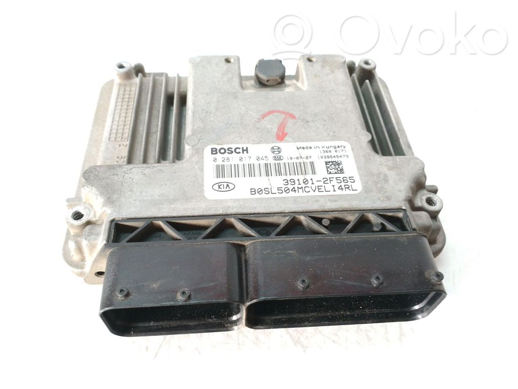 Engine control unit/module   391012F565,391012F555,0281017045