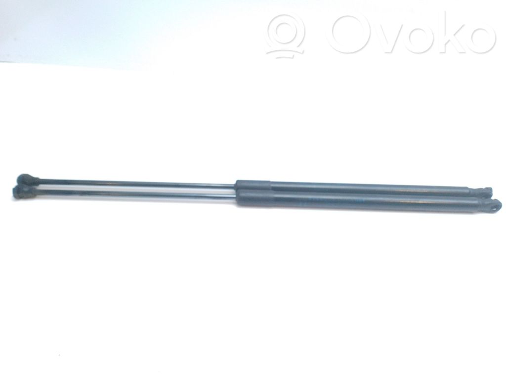 Tailgate/trunk strut/damper   6895002191,5578690310N