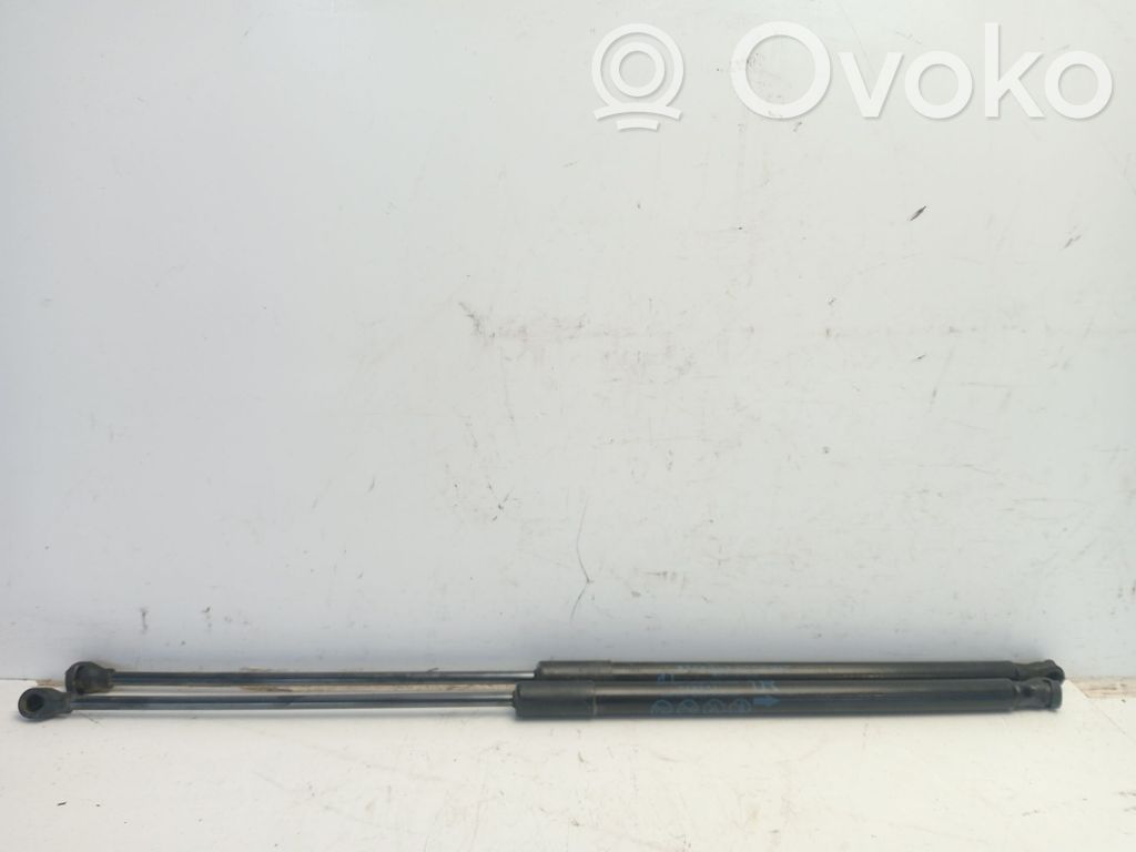 Tailgate/trunk strut/damper   6895002191