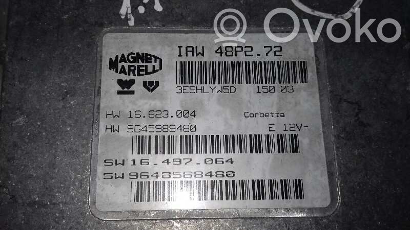 Engine control unit/module   9648568480,IAW48P272