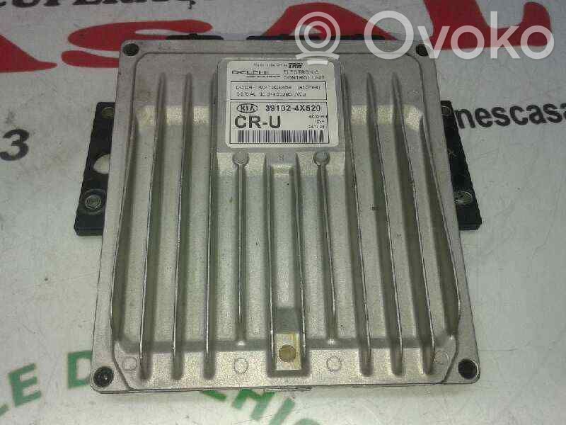 KIA Carnival Engine control unit/module 