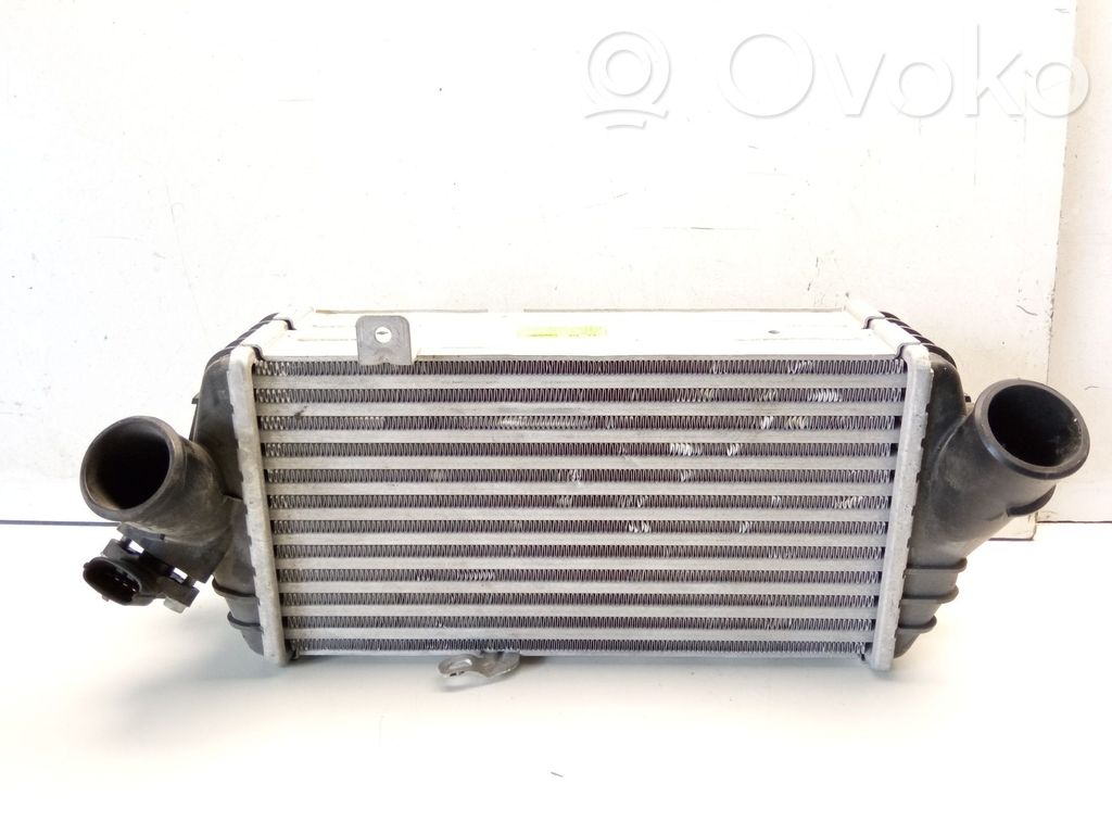 Intercooler radiator   282702A770