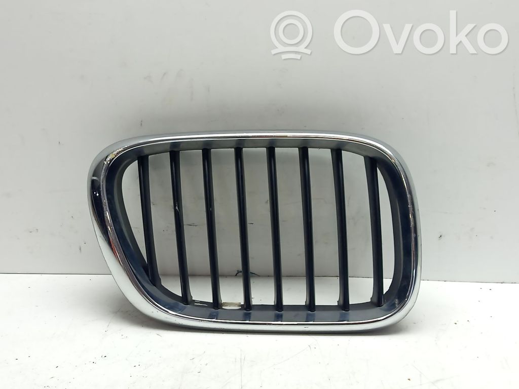 BMW X5 E53 Rejilla del guardabarros 