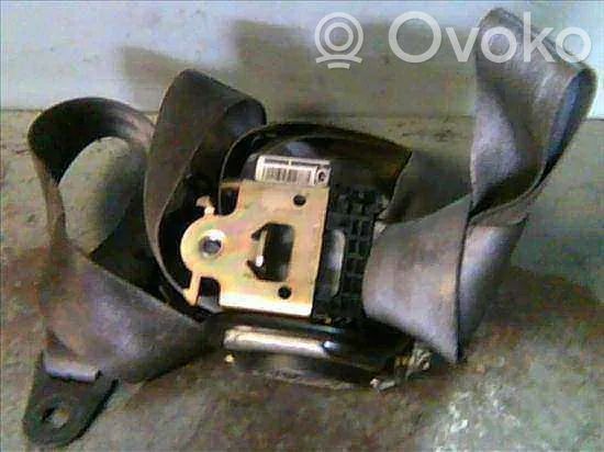 Cinturón delantero   8974TG