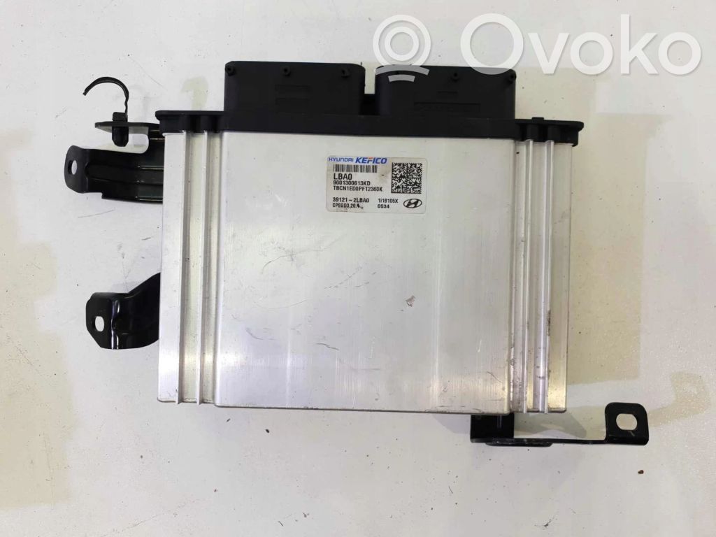 Engine control unit/module ECU   391212LBA0