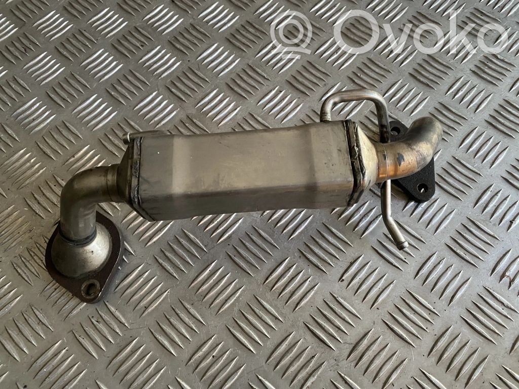 EGR valve cooler