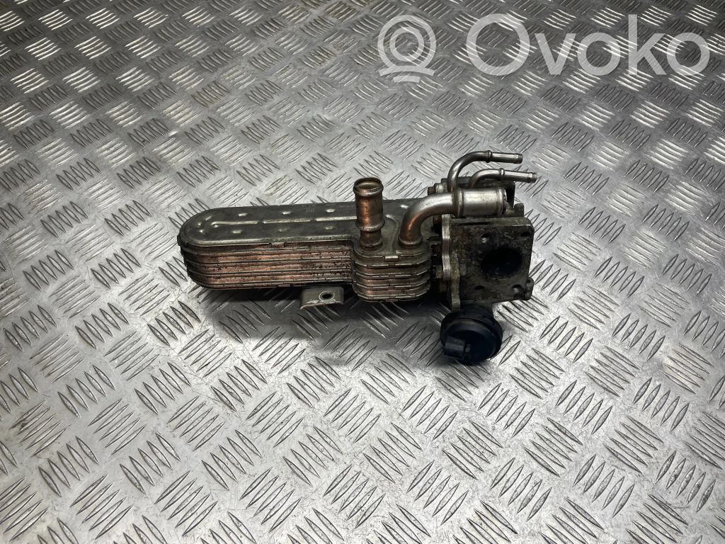 Volkswagen PASSAT B6 Chłodnica spalin EGR 
