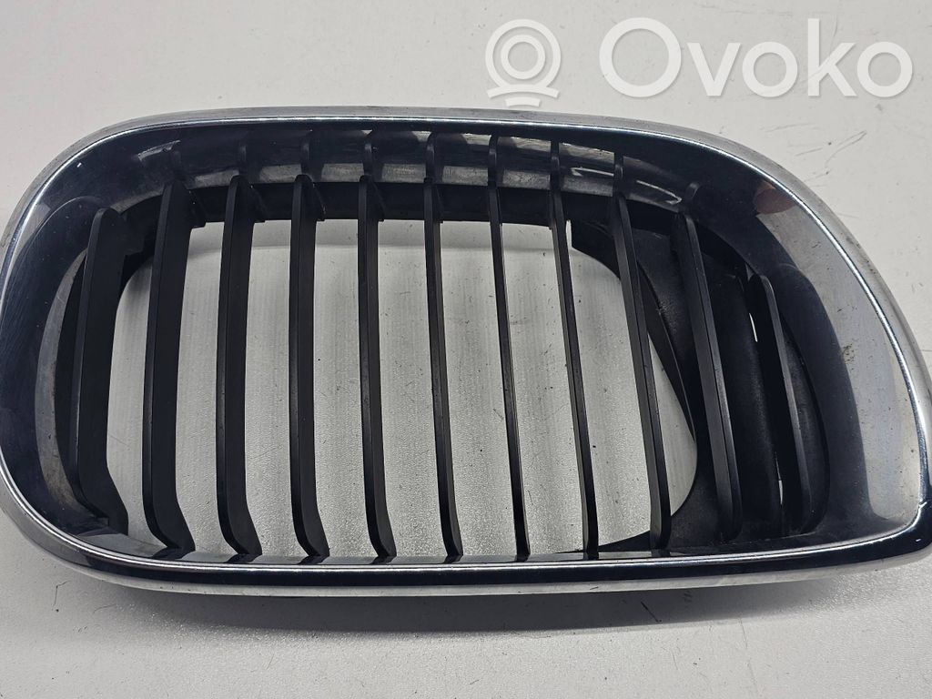 BMW 3 E46 Front grill 