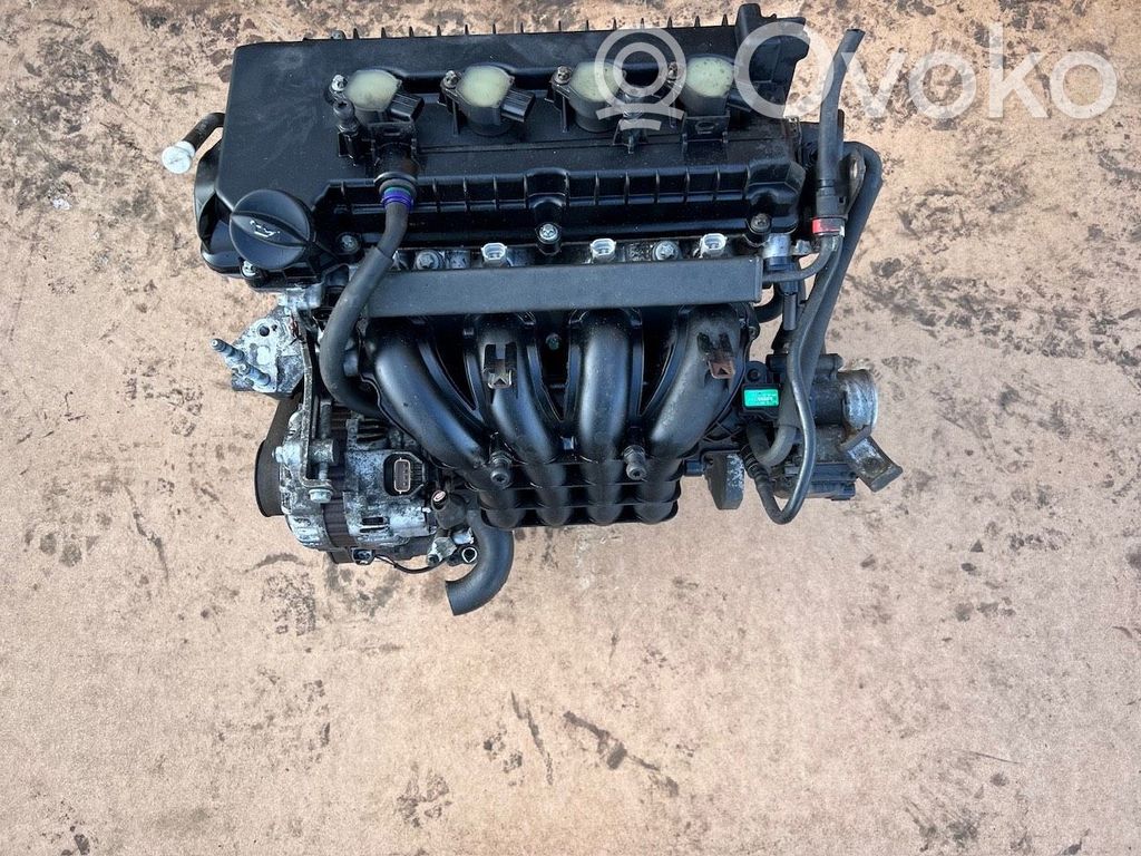 Variklis   166000KMS