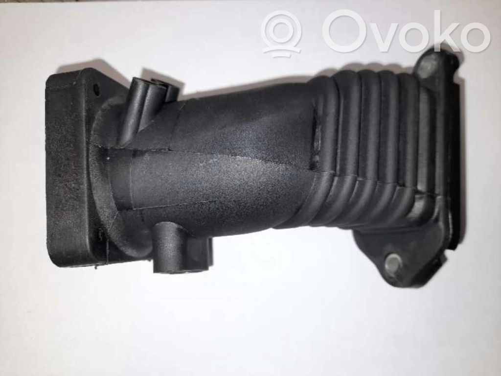Ford Fiesta Tubo para rellenar aceite 