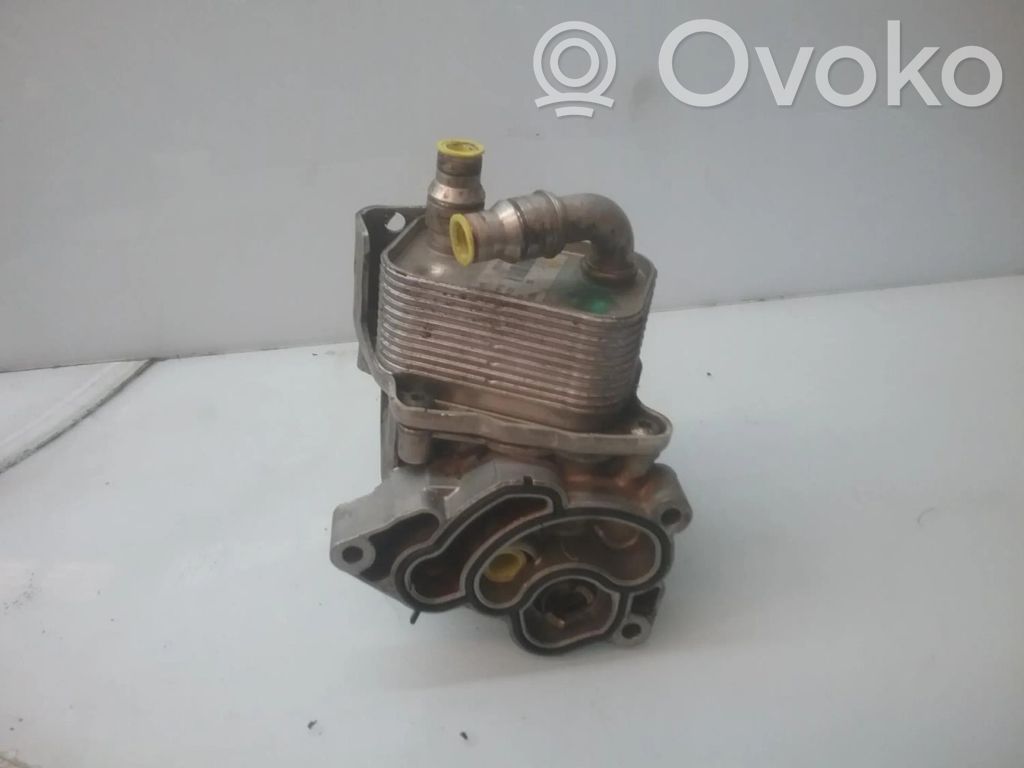 Radiator ulei motor   B8316