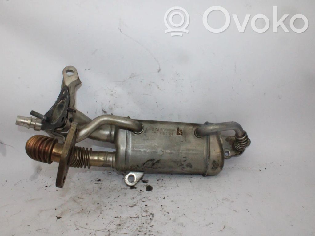 Renault Megane III Valvola di raffreddamento EGR