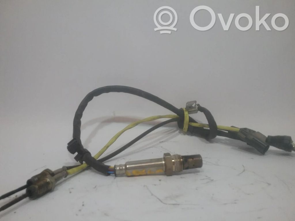 Sonde lambda