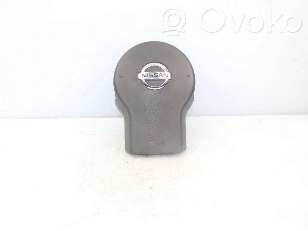 Front door airbag   05912308