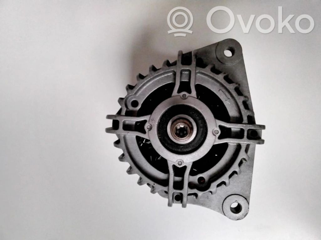 Alternator   1031496