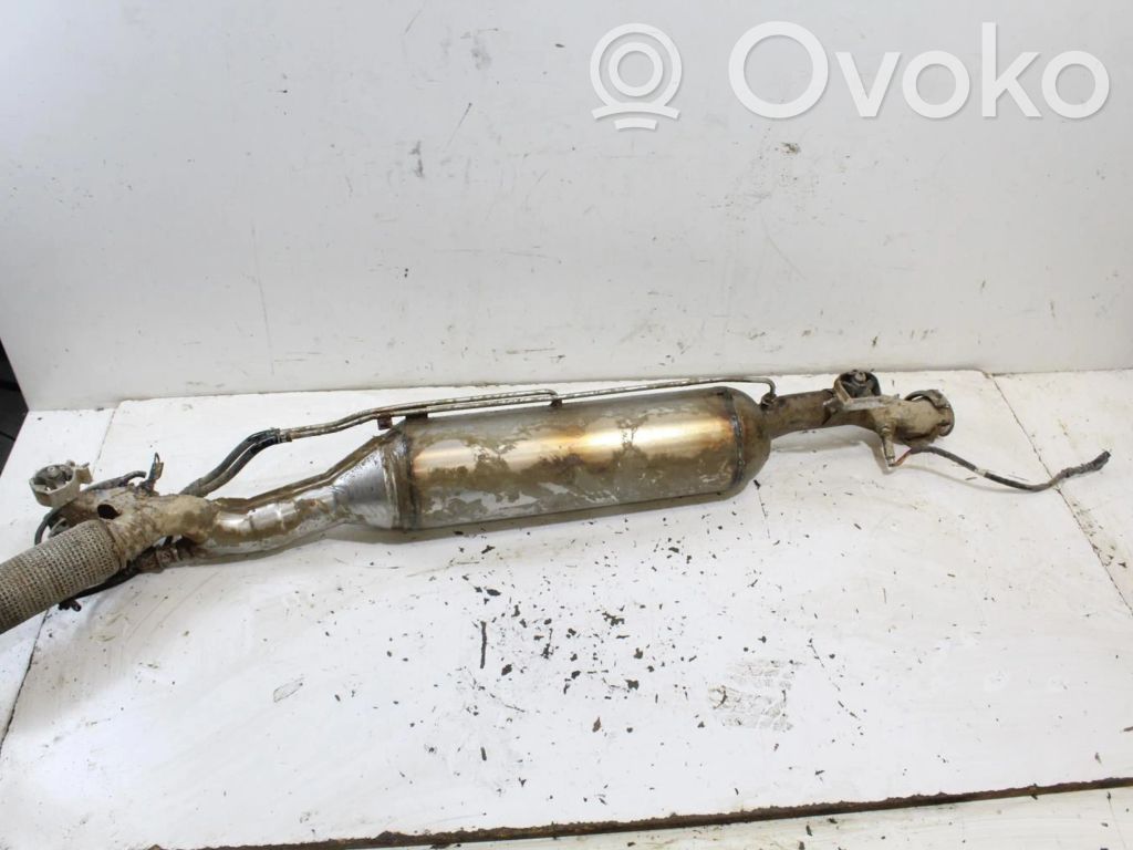 Citroen Berlingo Catalyst/FAP/DPF particulate filter