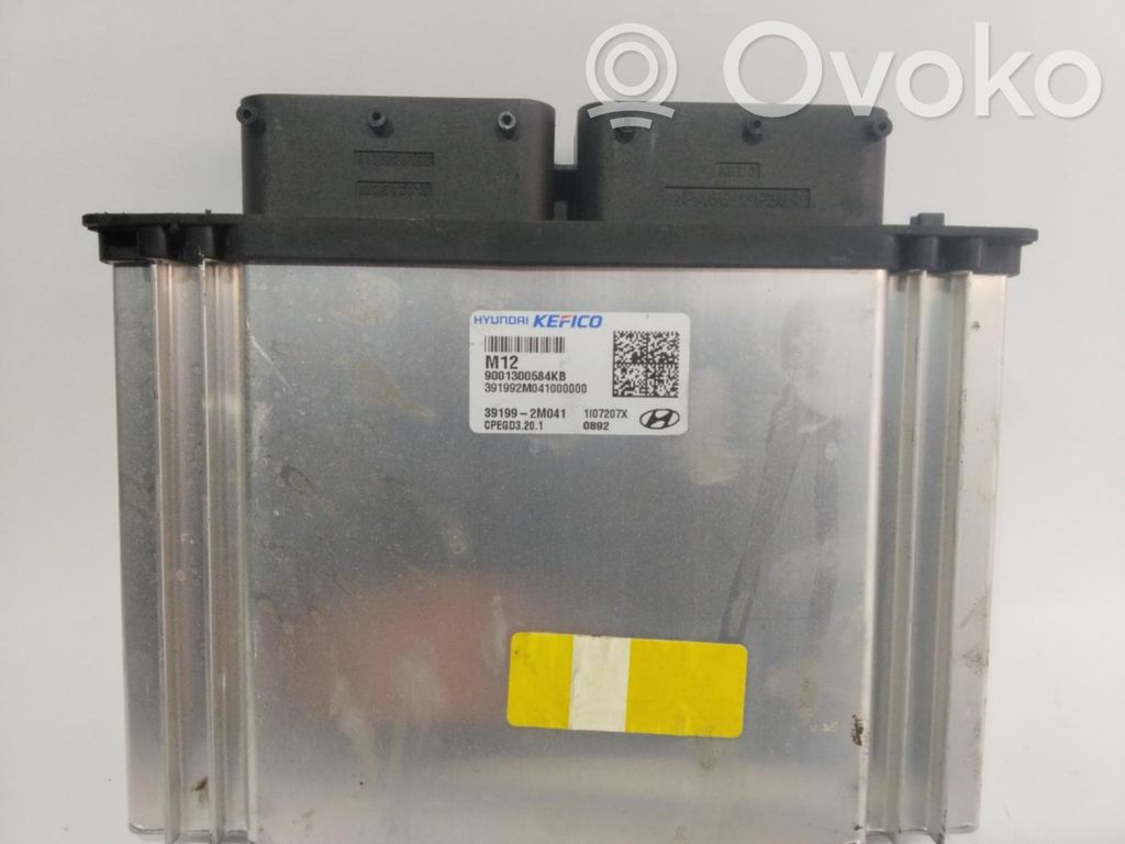 Unidad de control/módulo ECU del motor   391982M012