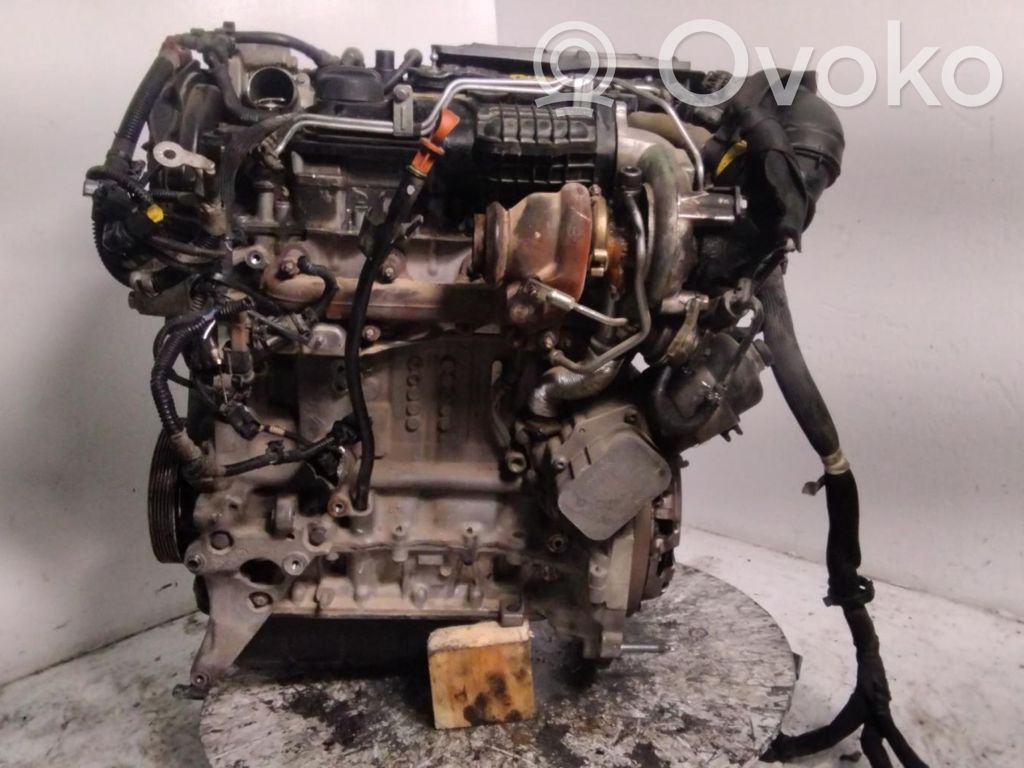 Motor   8HR