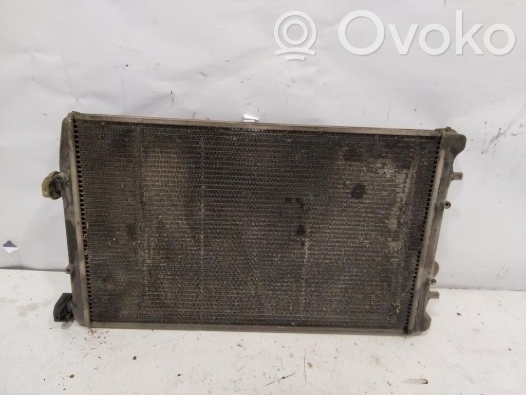 Seat Cordoba (6L) Wasserkühler 