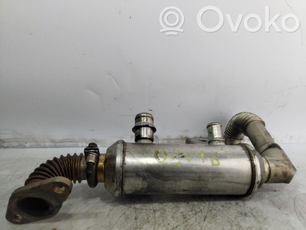 Ford C-MAX I Valvola di raffreddamento EGR 