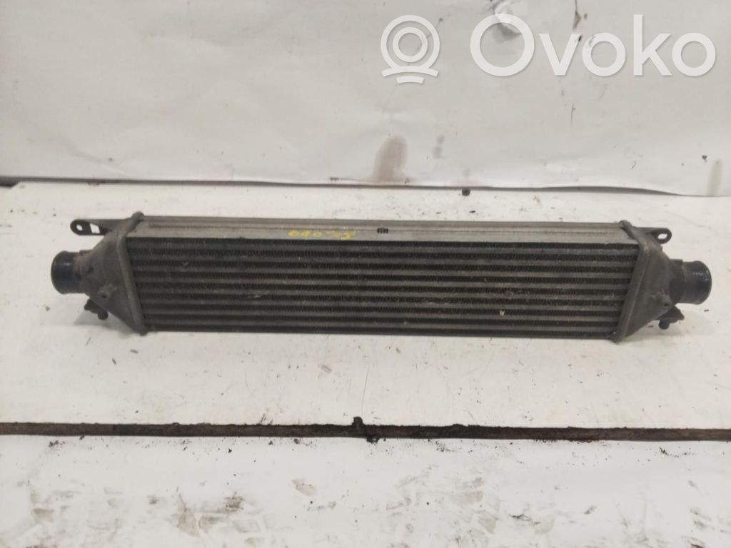 Renault Twingo II Radiator intercooler 