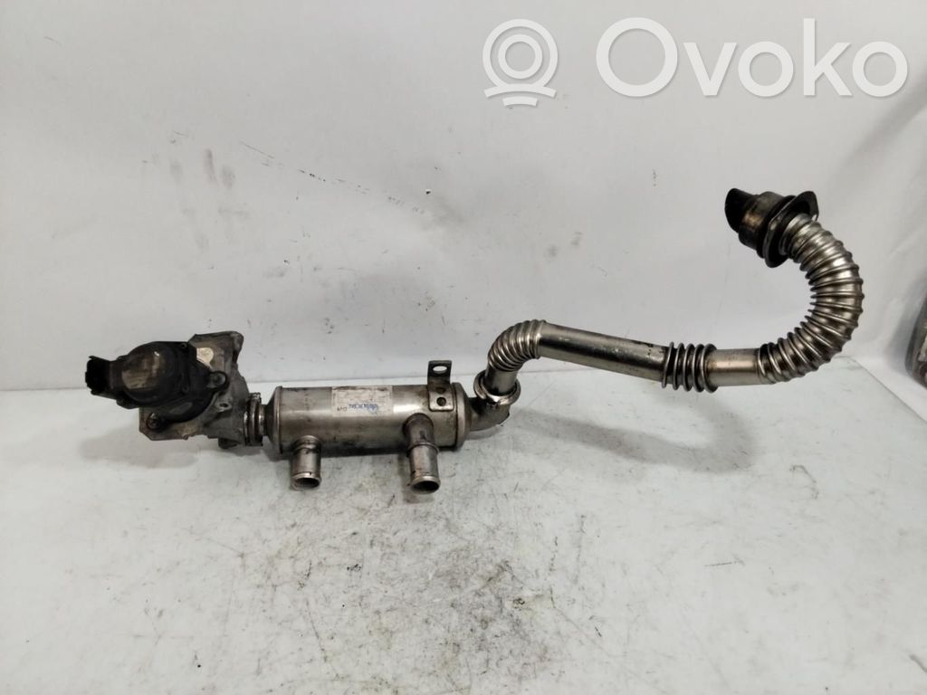Citroen C4 I Picasso Valvola EGR