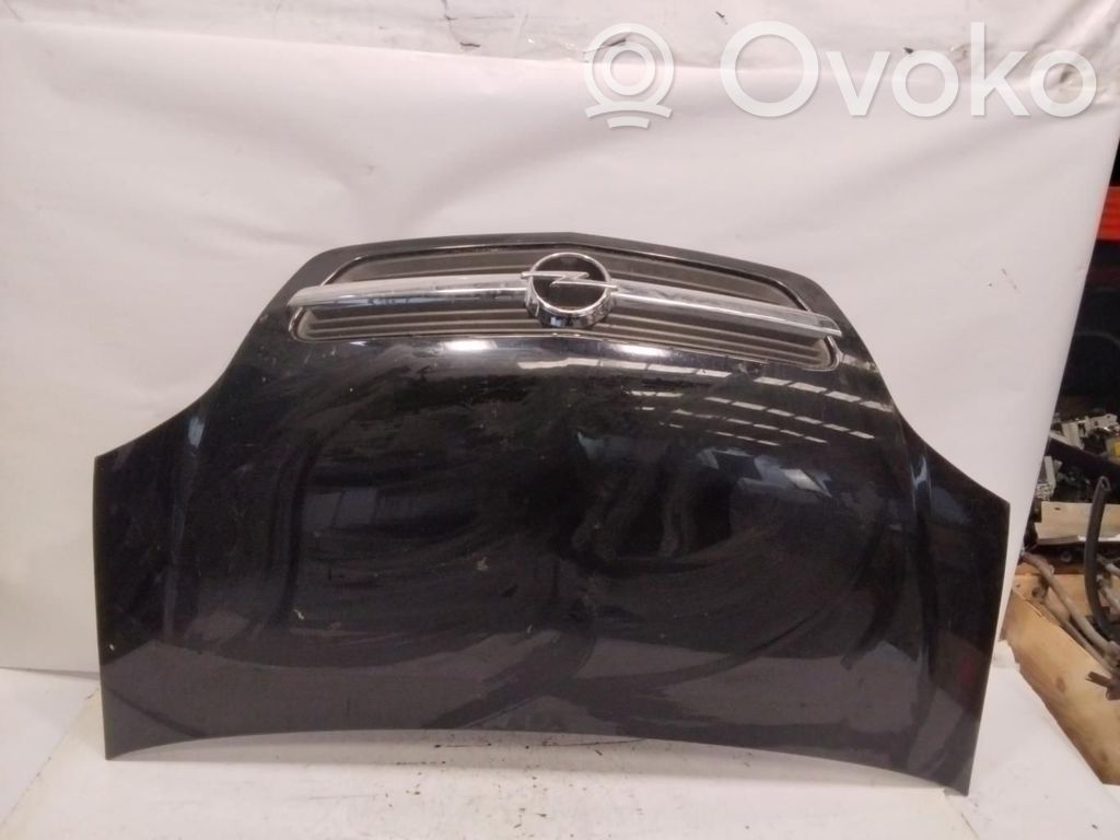 Capó/tapa del motor   SINRF