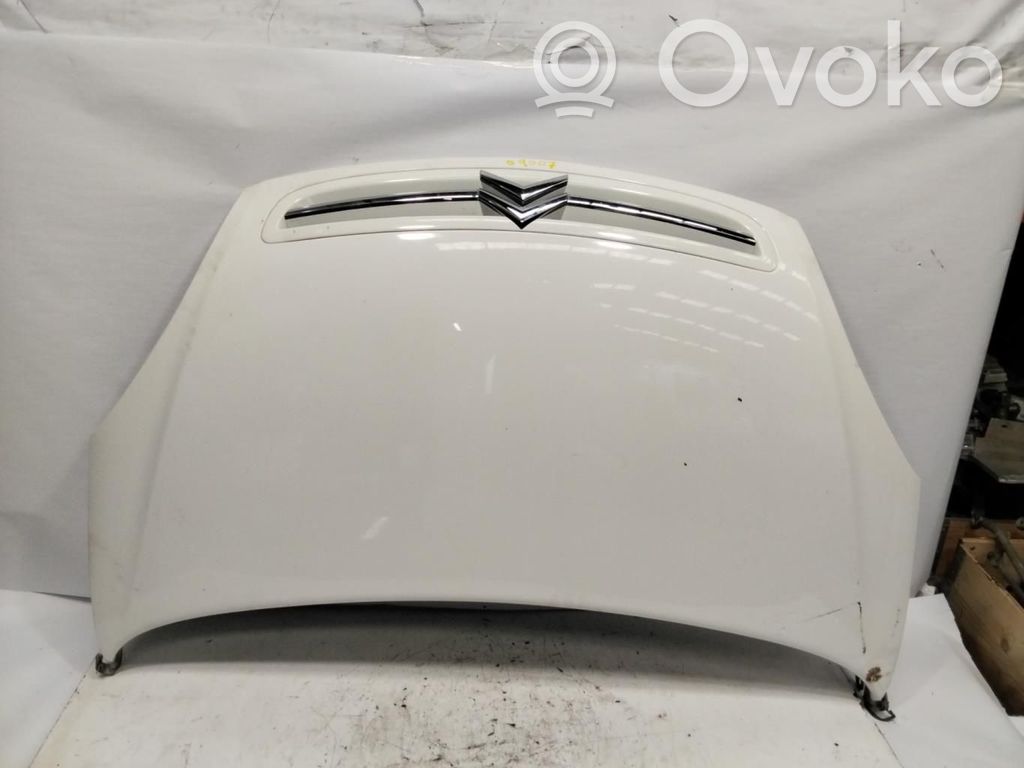 Capó/tapa del motor   SINRF