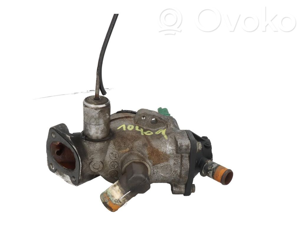 Termostato   9624839210