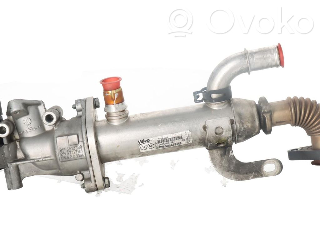 Peugeot 207 CC Răcitor supapă EGR 