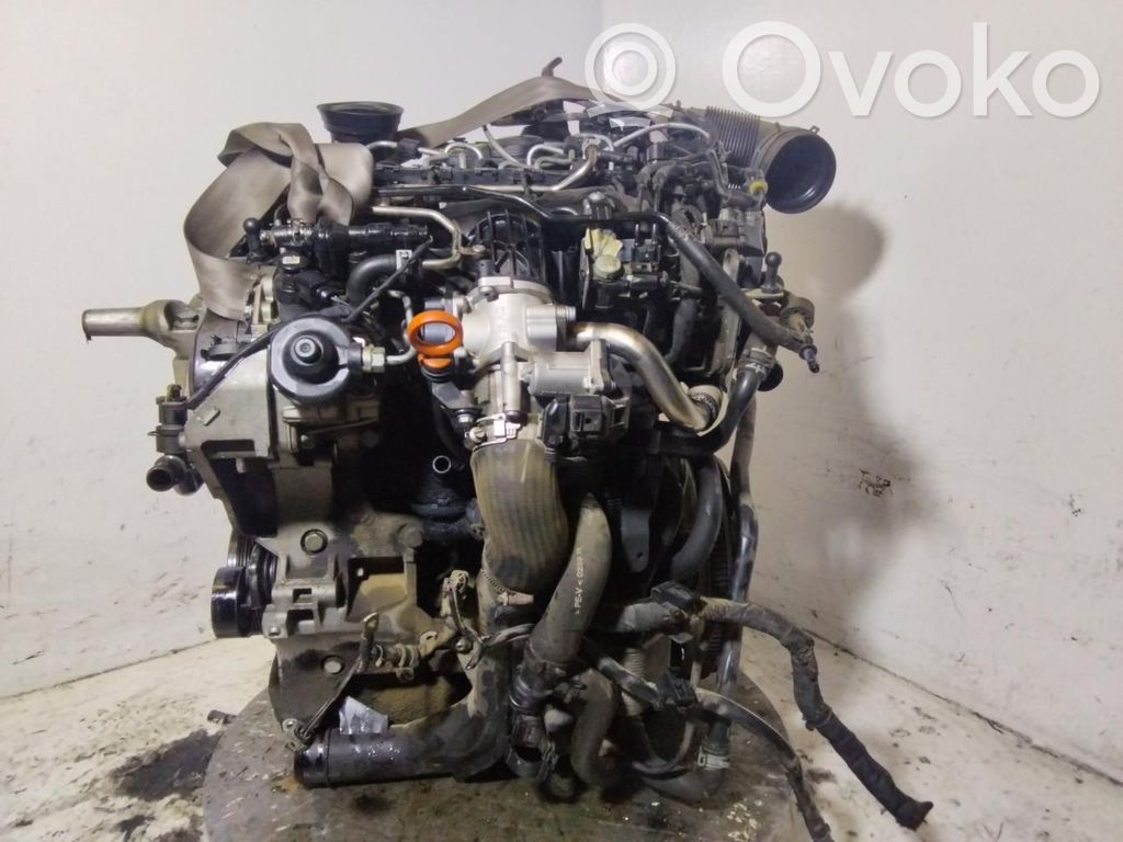 Engine   CBD