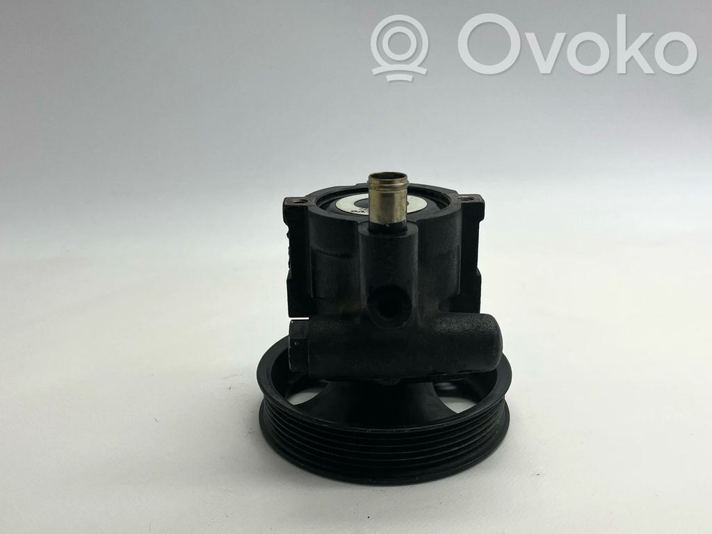 Servopumpe   26039584,26025012,470284,9404