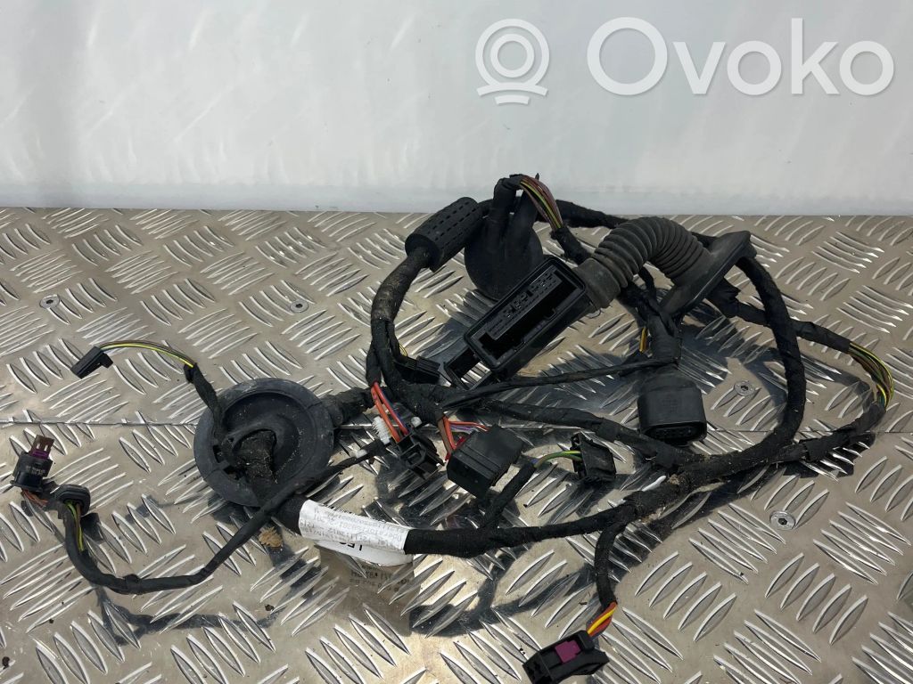 Audi A6 C7 Cableado de puerta trasera 