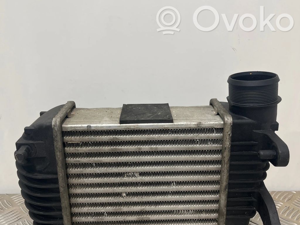 Audi A6 S6 C6 4F Interkūlerio radiatorius 