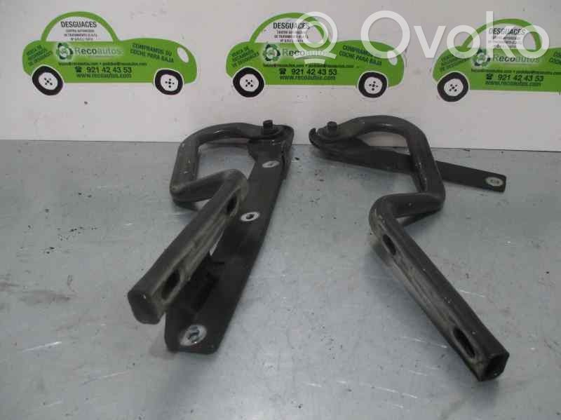 Chrysler Voyager Engine bonnet/hood hinges 