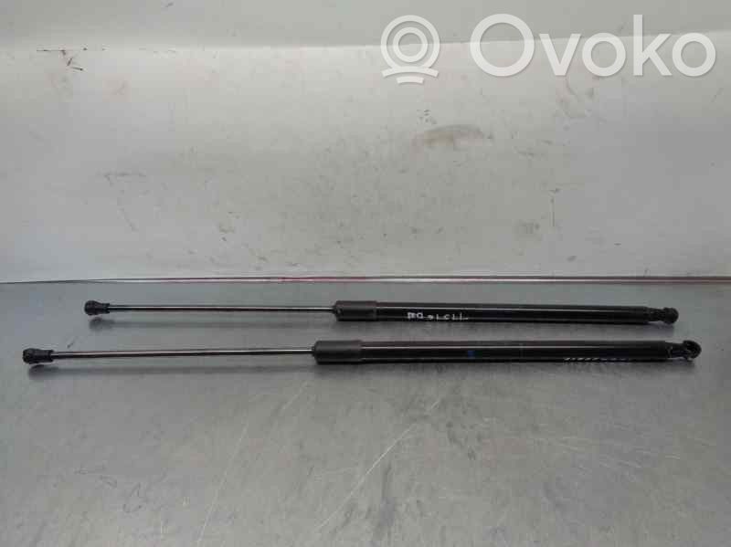 Dacia Duster II Front bonnet/hood damper/strut 